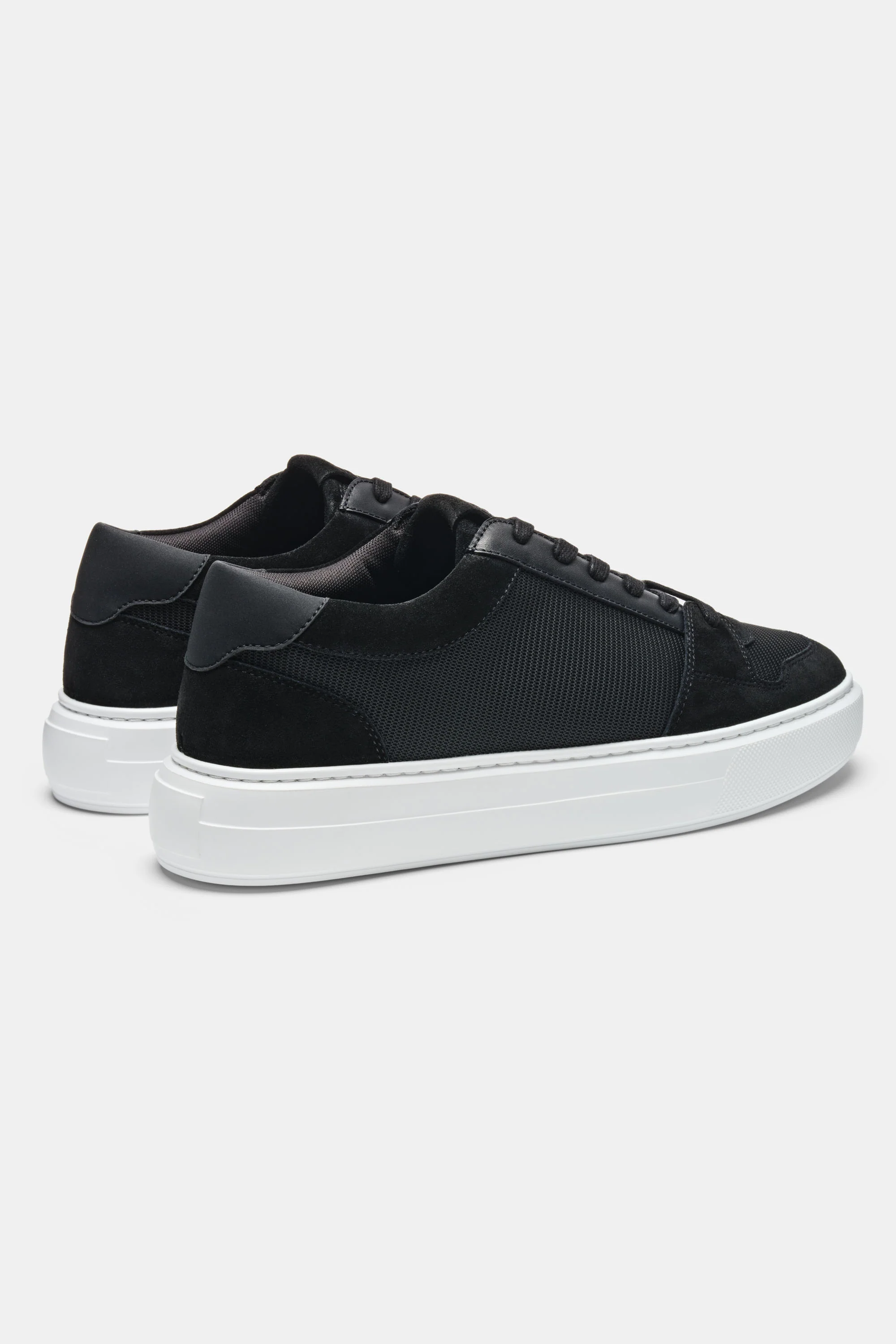 THE PAVIO TRAINER - Image 3